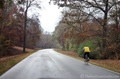 natcheztrail